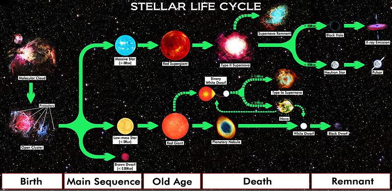 Star Life Cycle Chart